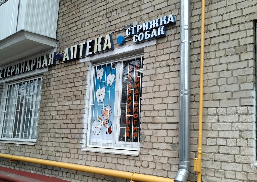 Ливиа