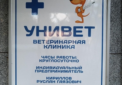 Унивет