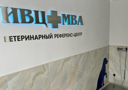 ИВЦ МВА Запад