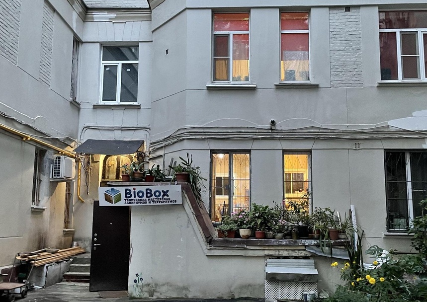 BioBox