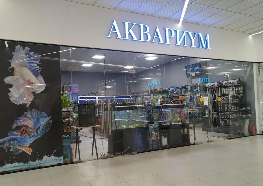 Аквариум