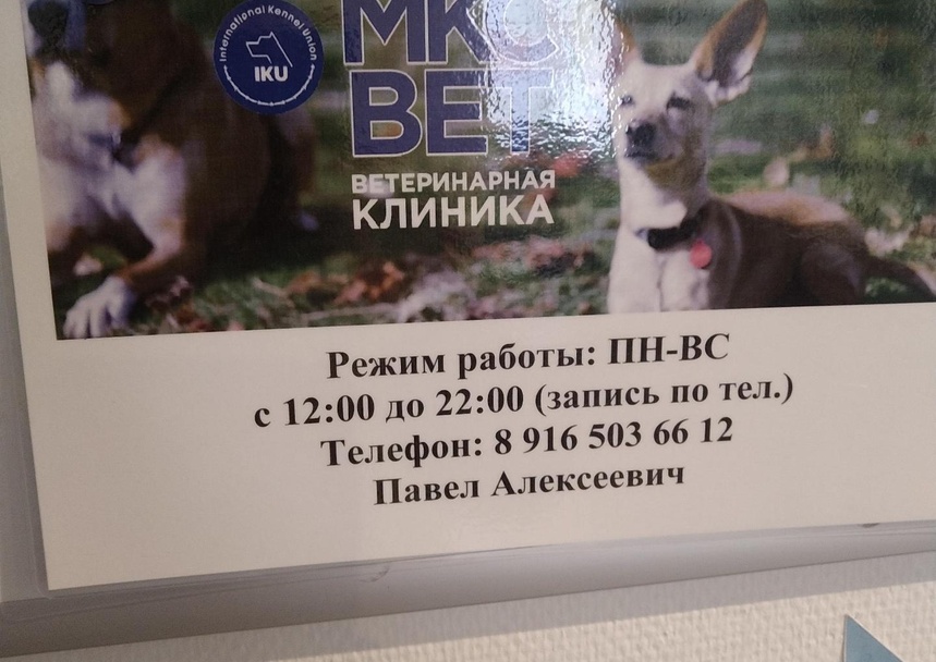 МКС Вет