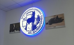 101 далматинец