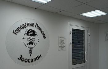 Городские пижоны