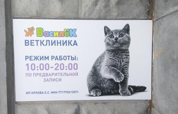 Василек