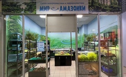 Мир Амазонки