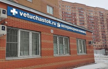 Vetuchastok.ru