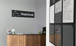 Volchok