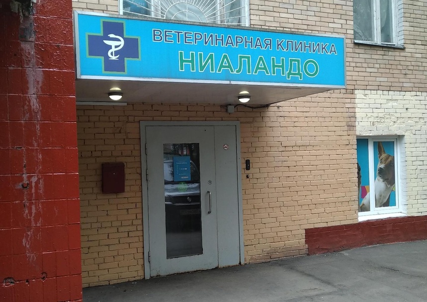 Ниаландо