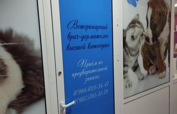 Кабинет ветеринарного врача-дерматовенеролога